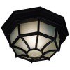Dural 2 Light Flush Mount (Black)