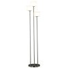 Matrielle 3 Light Torchiere (Brushed Steel)