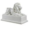 Lion Pride (Roman White)