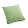 Parrot Small Outdoor Pillow (Lime Mix Thread)